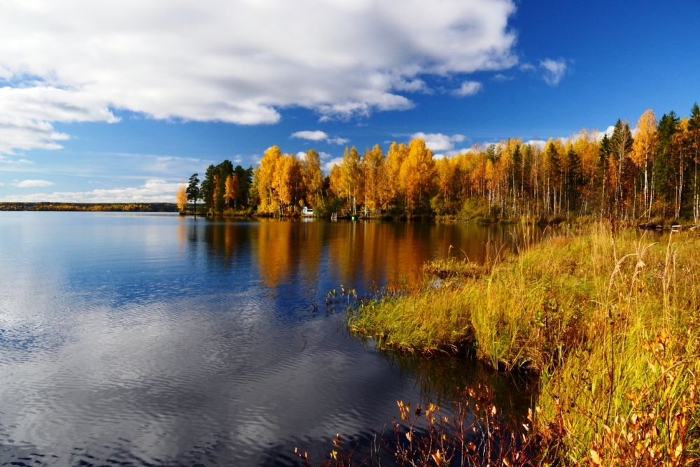 Десногорск осенью