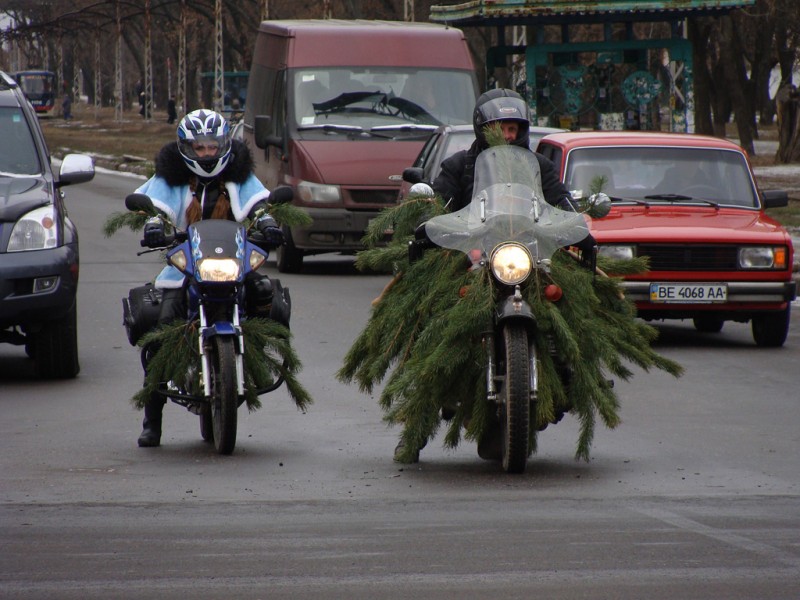 РњРѕС‚РѕС†РёРєР» РїРѕРґ РµР»РєРѕР№