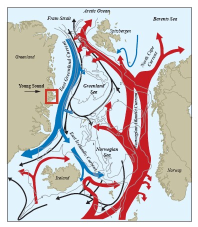 Схема течений северного ледовитого океана