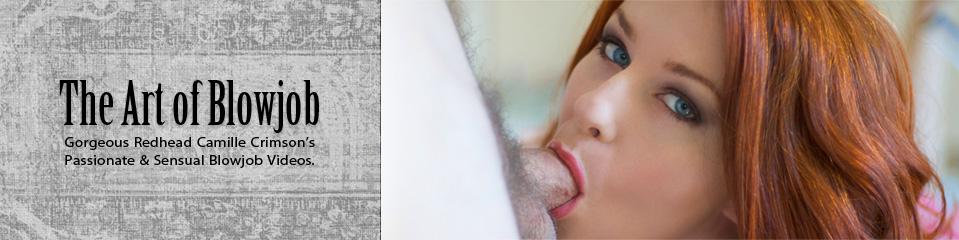 MegaPack / Mega Video Collection - The Art Of Blowjob